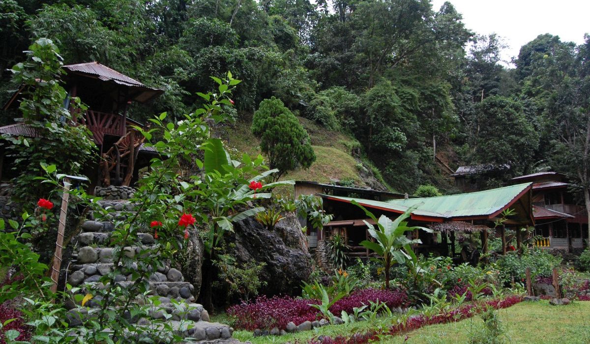 Sumatra Bukit Lawang