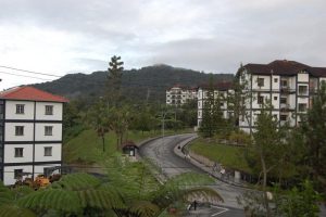 Malajzia - Cameron Highlands